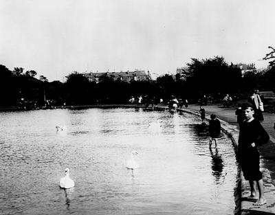 Elder Park pond