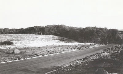 Castlemilk, 1954