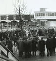 Tree-planting, Drumchapel