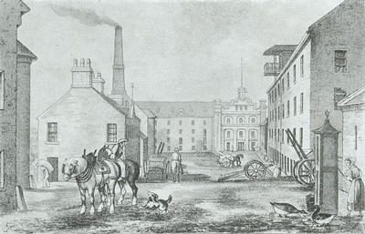 Bunhouse Mill