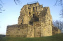 Crookston Castle