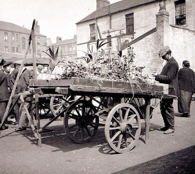 Plant barrows