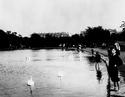 Elder Park pond