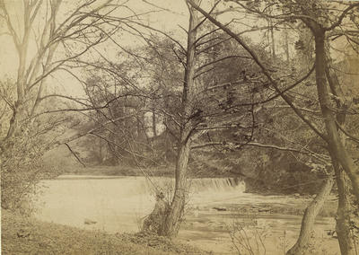 Mill Dam, Cathcart