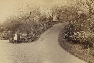 Children in Queen's Park