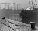 View from Yorkhill Basin, 1955
