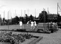 Tennis practice, 1955
