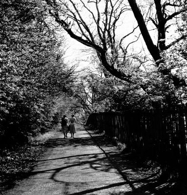 Linnview Avenue, 1955