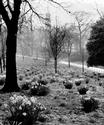 Botanic Gardens, 1955