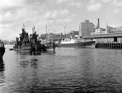 Bucket dredger and Hopper, 1955